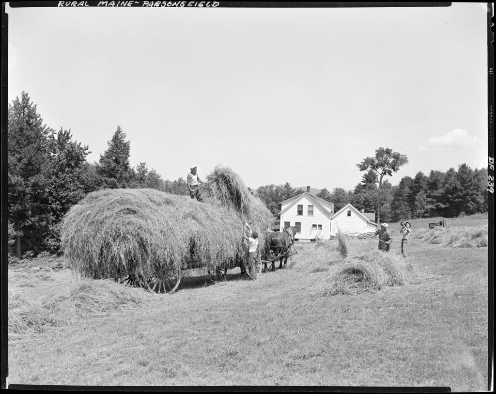 Miniature of Workers Loading Hay Onto A Horse Drawn Wagon In Parsonsfield
