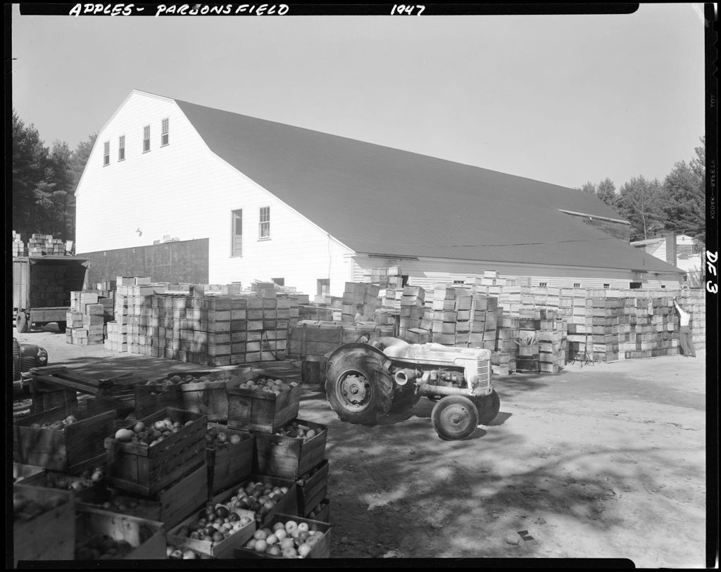 Miniature of Apple Orchard In Parsonsfield