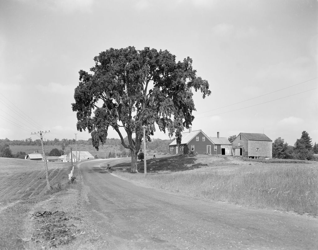 Miniature of Road Past A Farmhouse And Barn In Thorndike, Nice Shade Tree Out Front