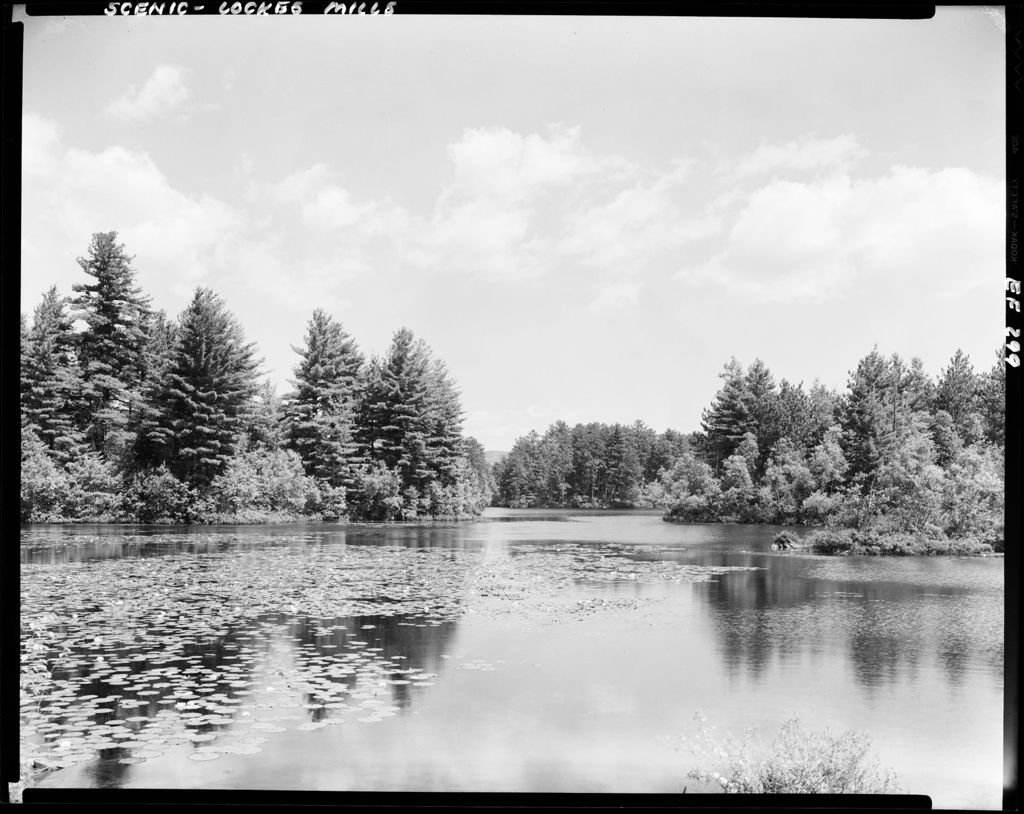 Miniature of Clouds Reflected In A Pond In Locke`s Mills