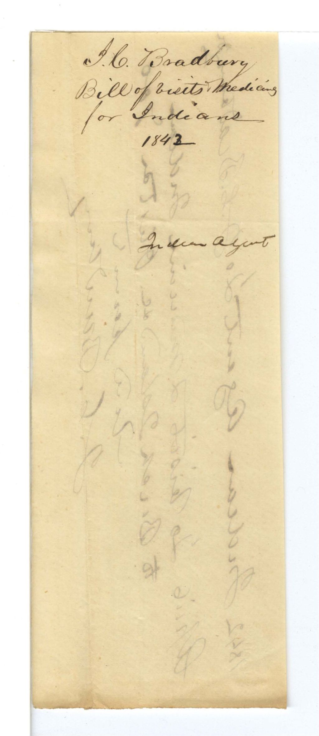 Miniature of J. C. Bradbury, Bill of visits medicining for Indians