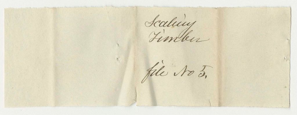 Miniature of Scaling Timber File No. 5 from the Account of the Land Agent