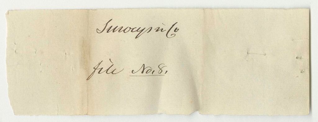 Miniature of Surveys File No. 8 from the Account of the Land Agent
