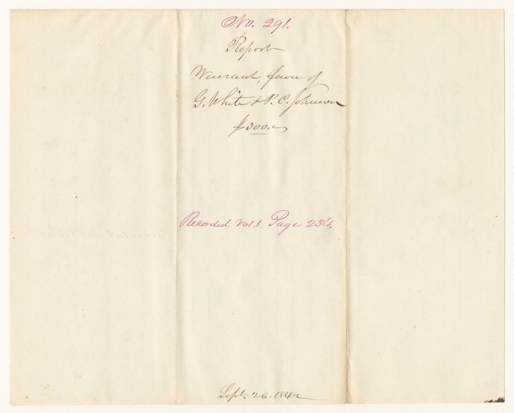 Miniature of Report 291: Report - Warrant in Favor of G. White and P.C. Johnson
