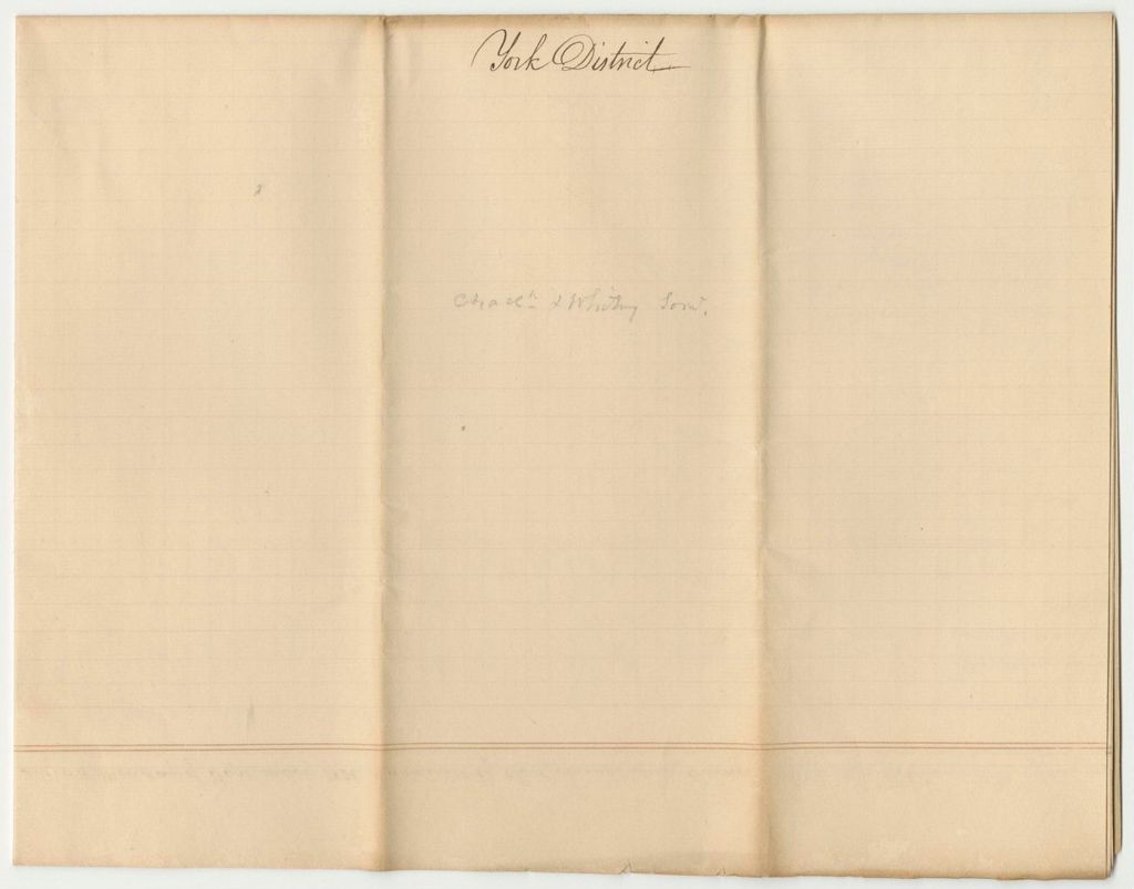 Miniature of Returns of Votes from York District for Representative to Congress