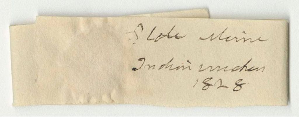 Miniature of Vouchers for the Account of the Rev. Elijah Kellogg, Agent for the Passamaquoddy Indians