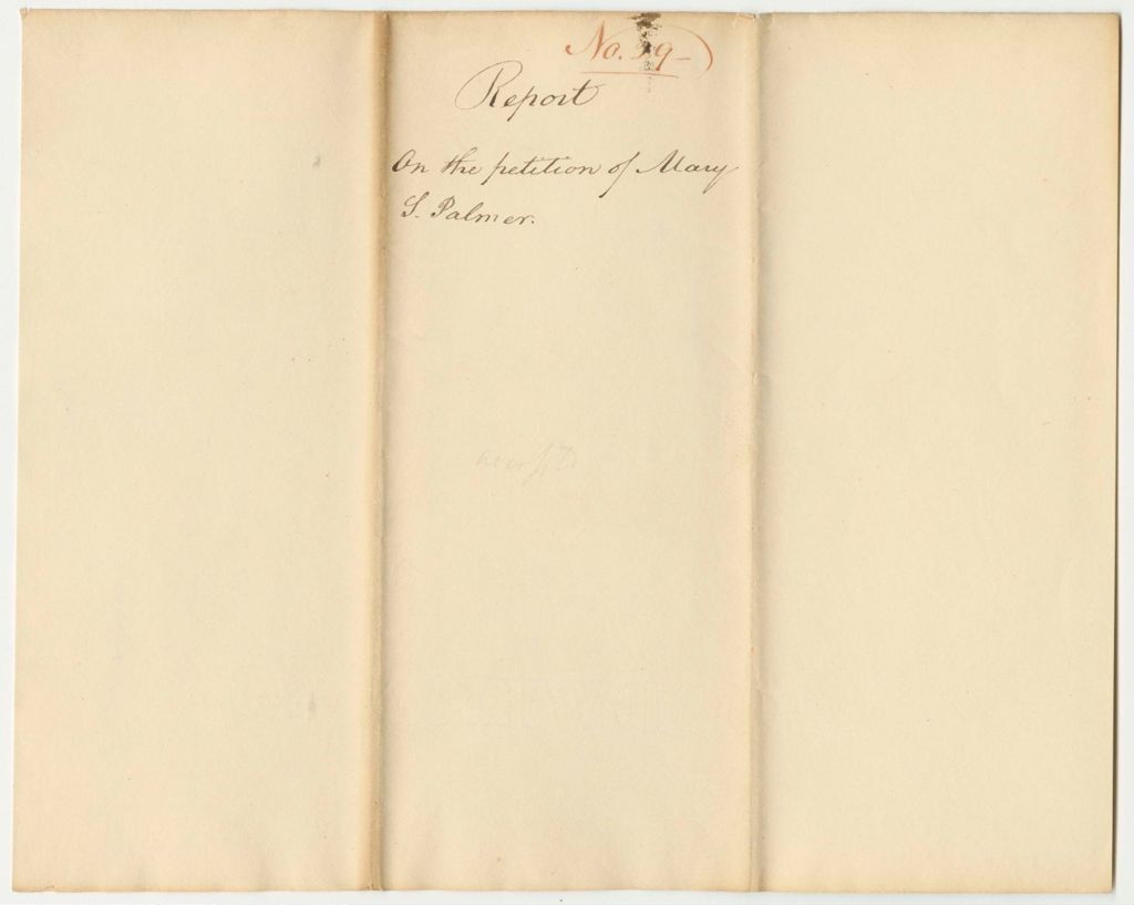 Miniature of Report 29: Report on the Petition of Mary S. Palmer for the Pardon of Her Brother John C.R. Palmer