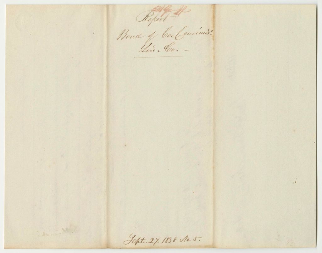 Miniature of Report 219: Report on the Bond of the Lincoln County Commissioners
