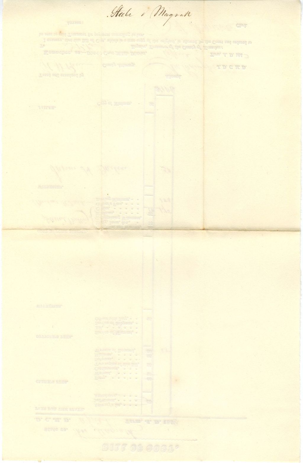 Miniature of Bill of Cost, State v. Magrath