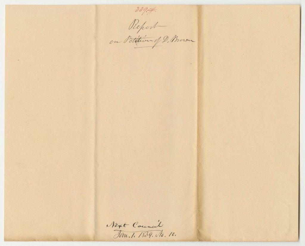 Miniature of Report 339: Report on a Petition of David Brown and Others for a Company of Light Infantry, Referring it to the Next Council