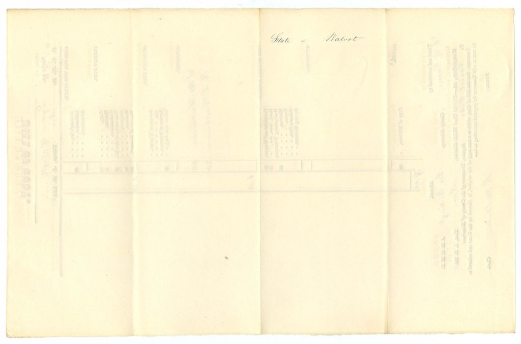 Miniature of Bill of Cost, State v. Lydia Walcott
