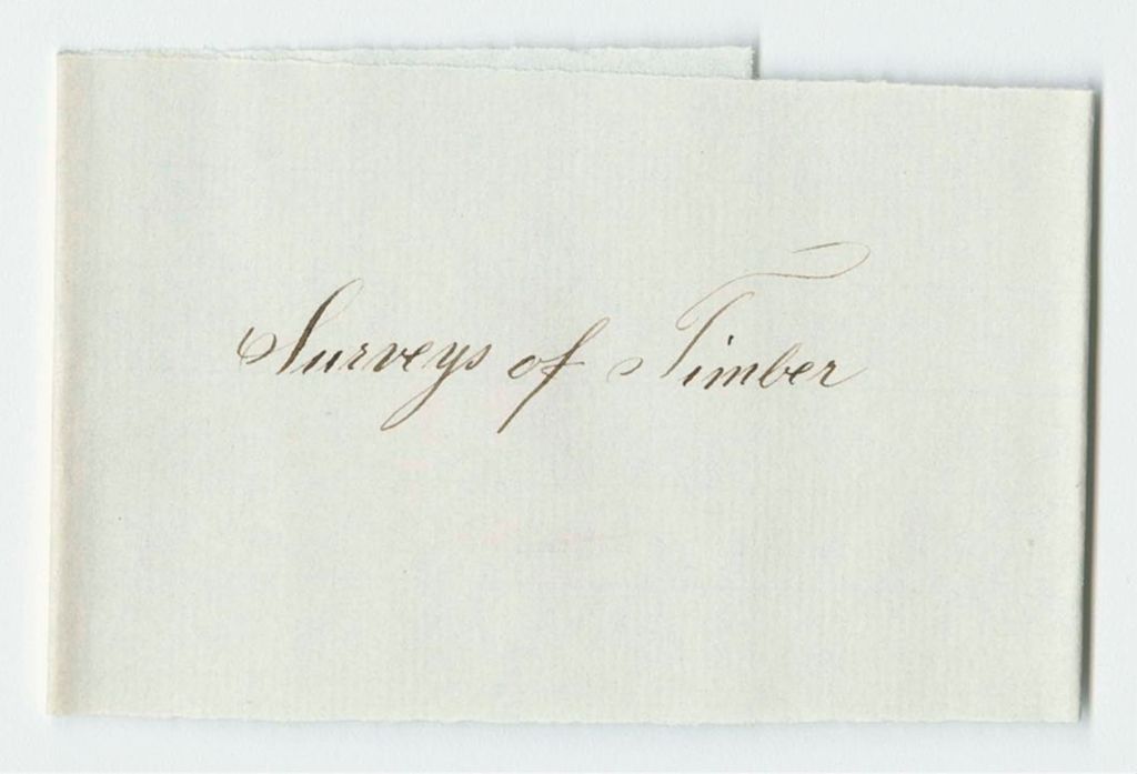 Miniature of Vouchers from Sheet 6 of the Account of Levi Bradley: Surveys of Timber