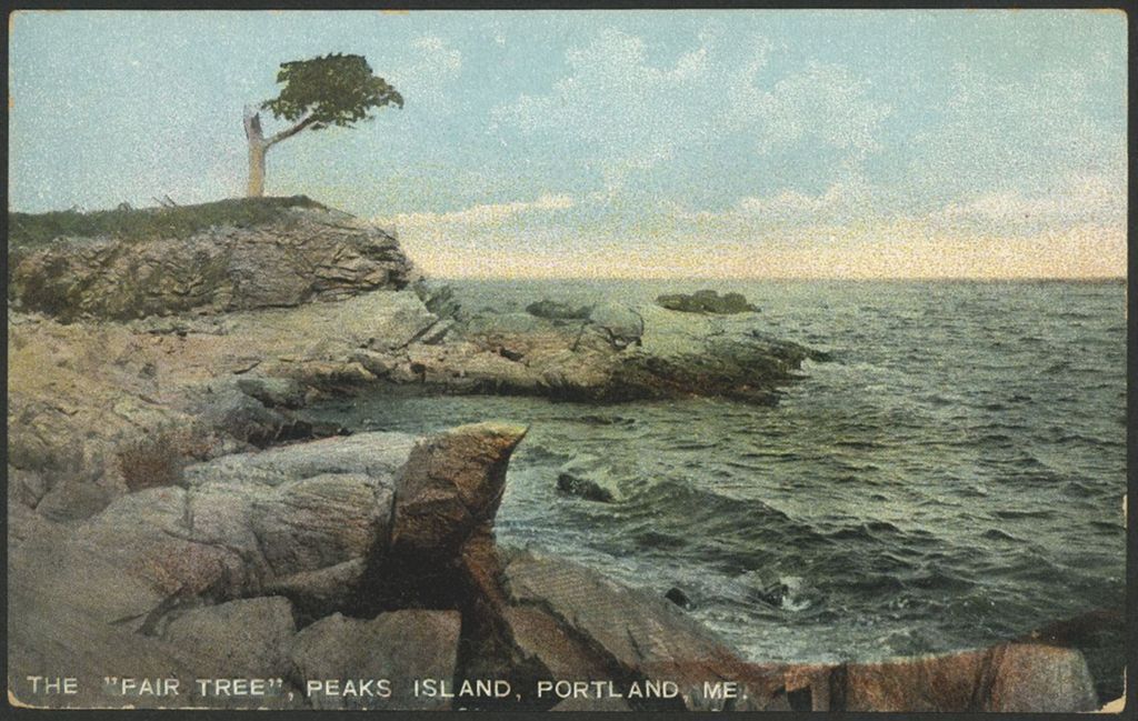 Miniature of The "Fair Tree", Peaks Island, Portland, ME