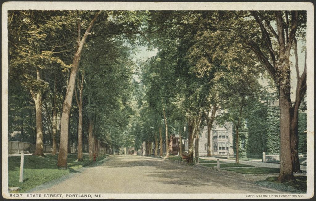 Miniature of State Street, Portland, ME
