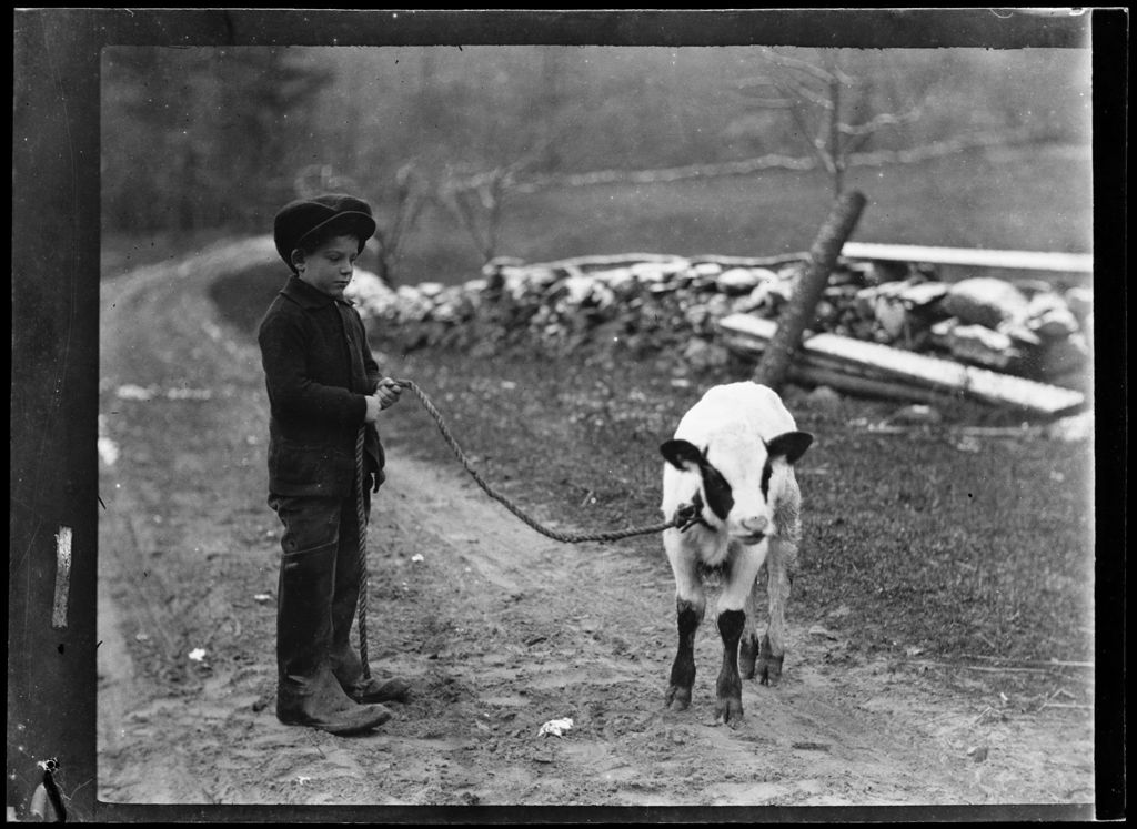 Miniature of Tots- Don And Calf