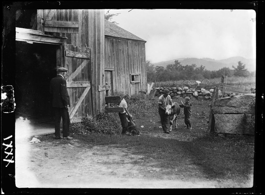 Miniature of Genre- Boys With Calf In Barnyard