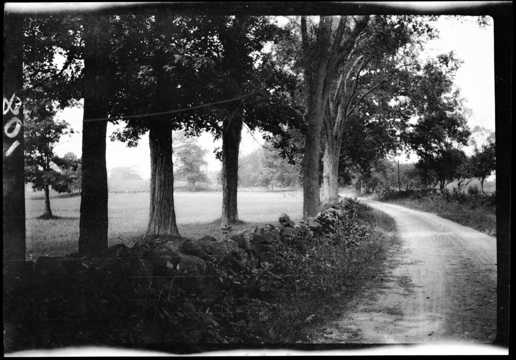 Miniature of Roads- Road By Old Trees In Greenland, N.H.