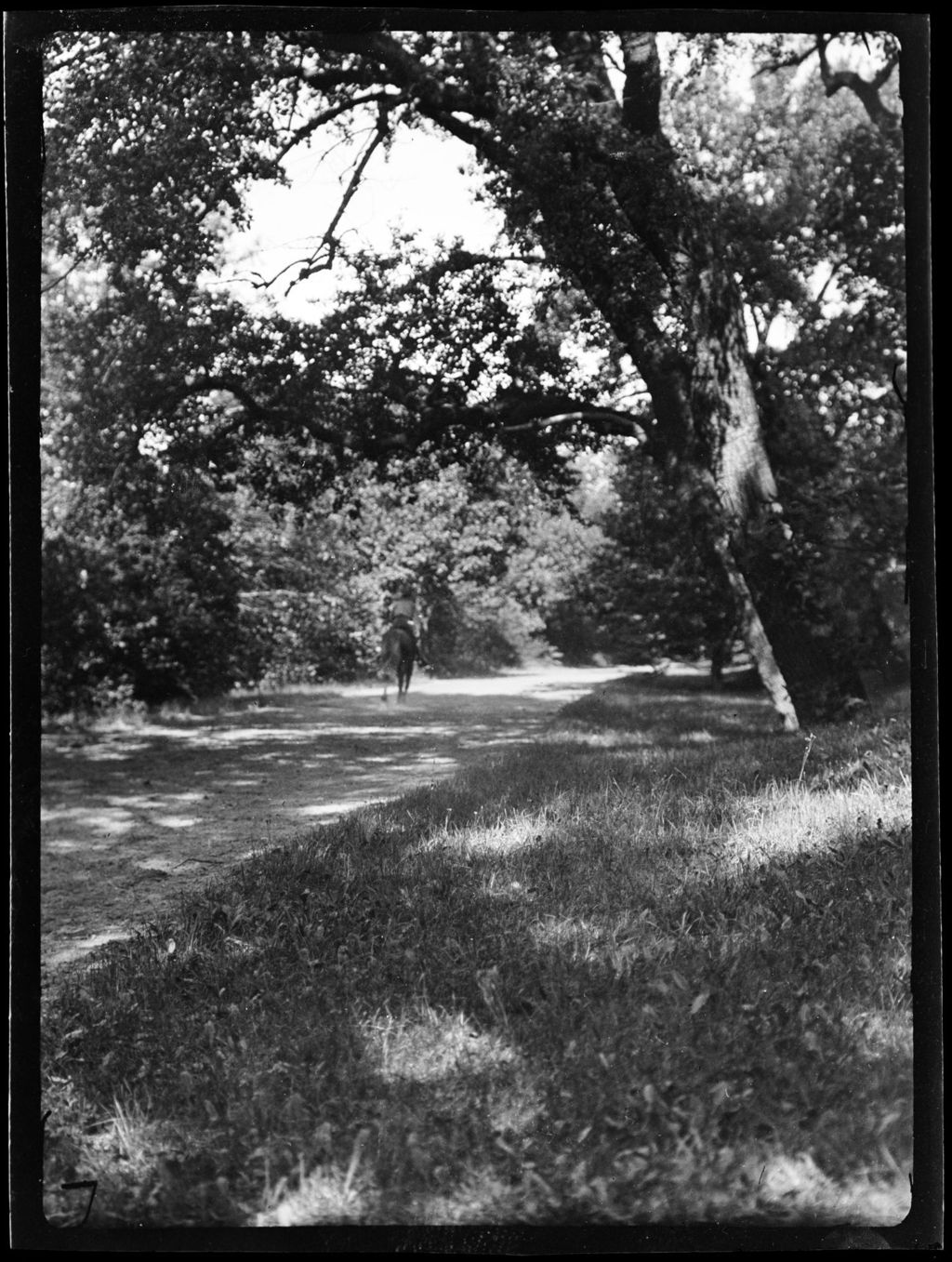 Miniature of Roads- Jamaica Parkway, Dorchester, MA