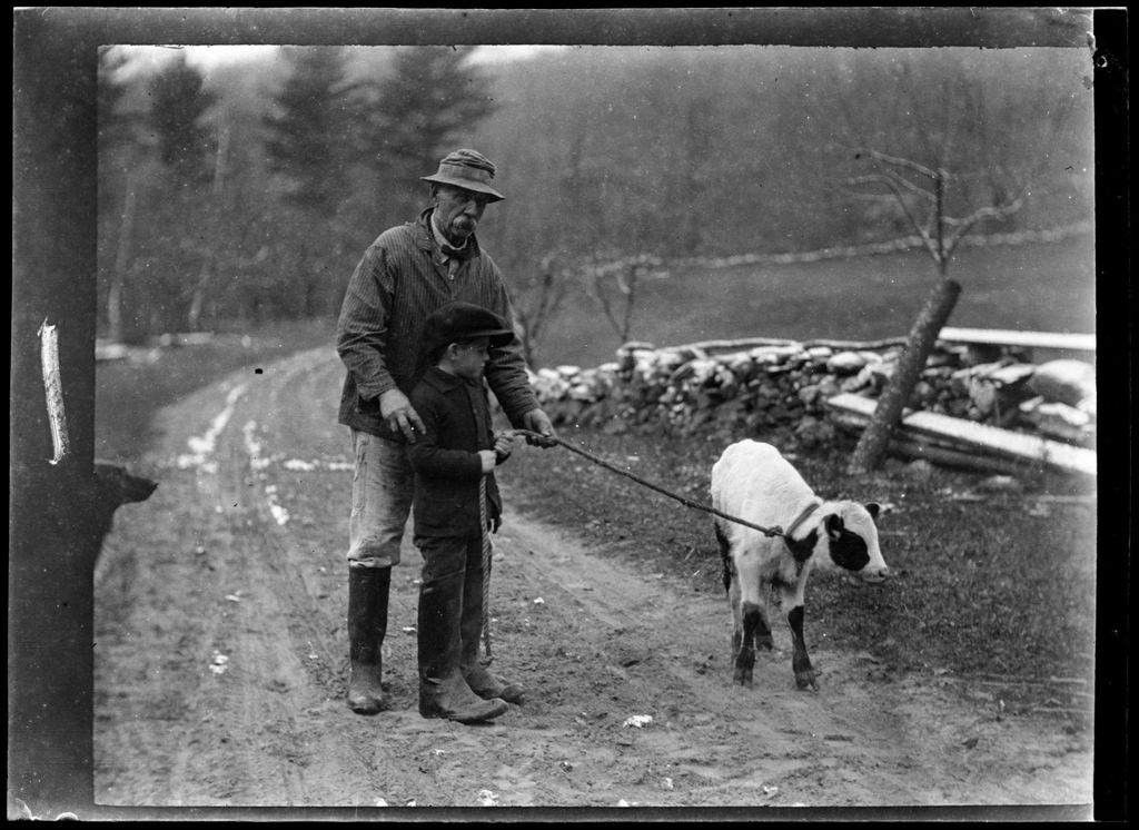 Miniature of Tots- Don And Calf- Man