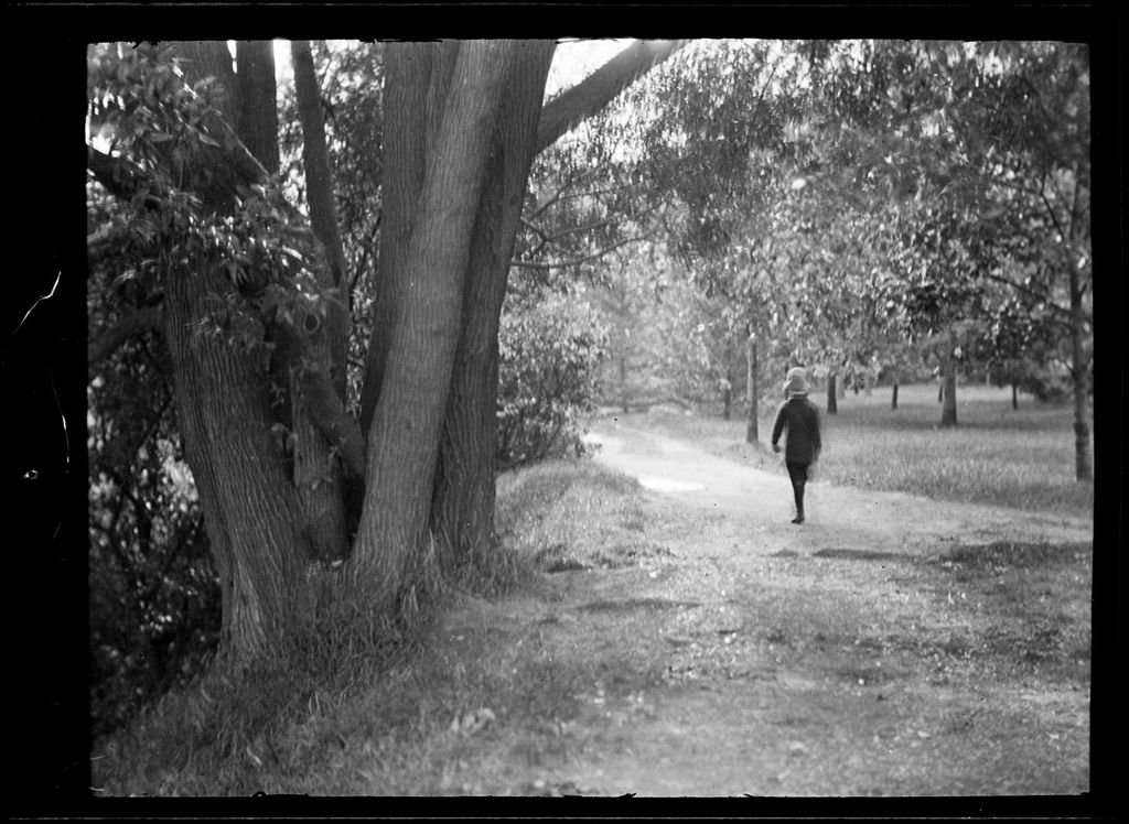 Miniature of Tots- Don Walks Path In Franklin Park, Dorchester, MAssachusetts
