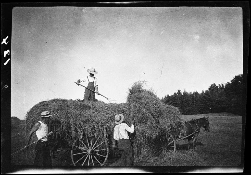 Miniature of Haying- Men Pile Hay On Wagon At Olin's Place