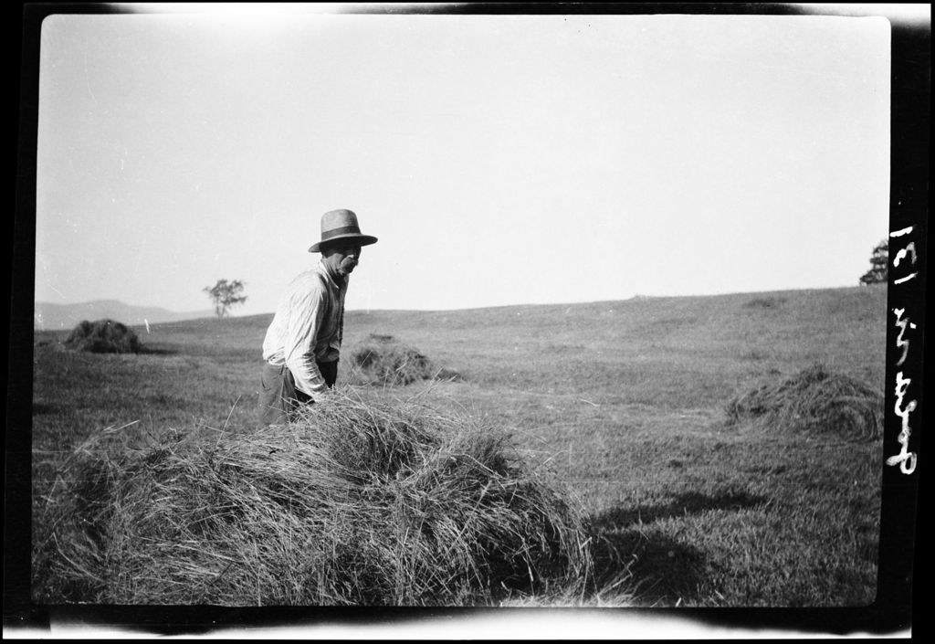 Miniature of Haying- Oscar Bunching Hay
