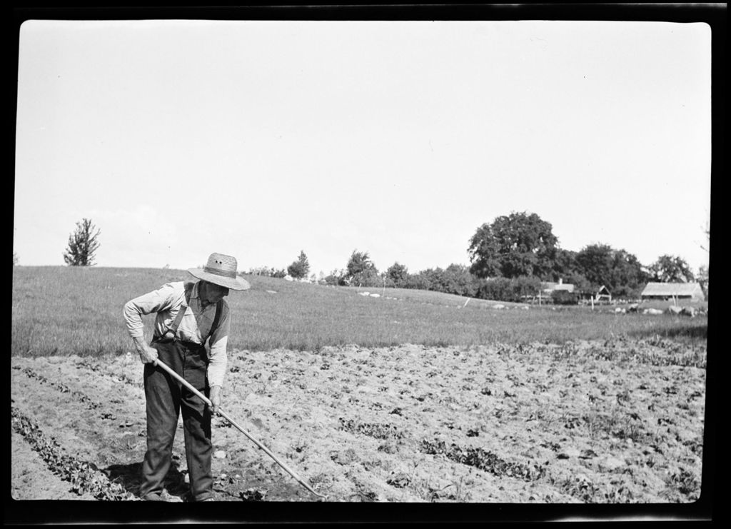 Miniature of Genre- Pa French Hoe's In Garden