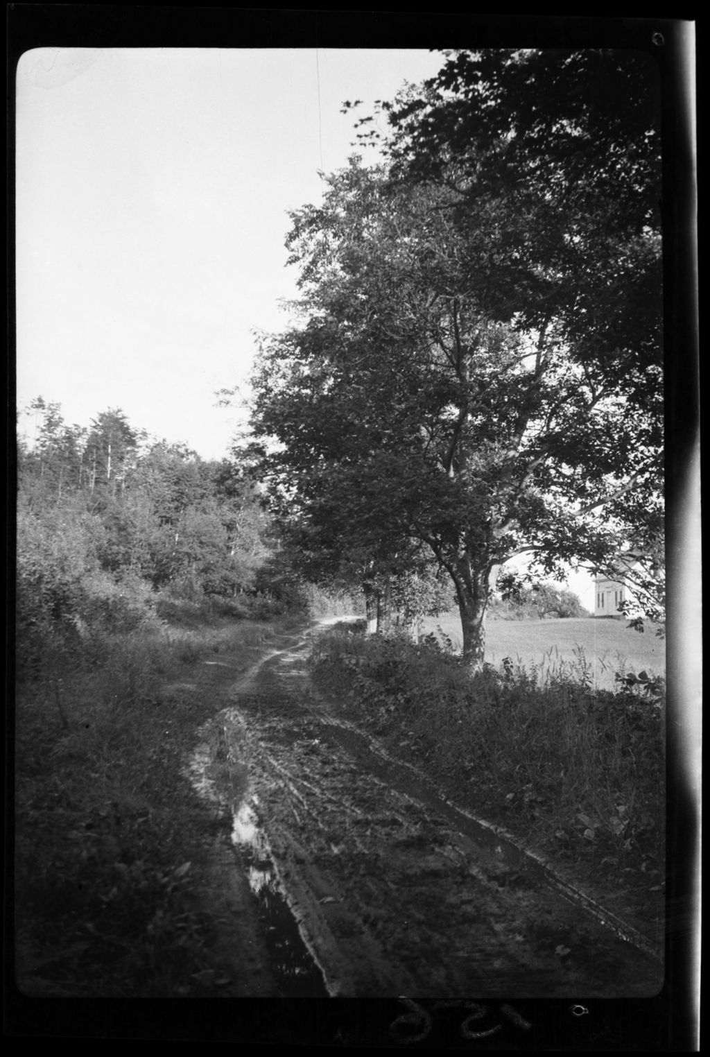 Miniature of Roads- Dirt Road In Acton