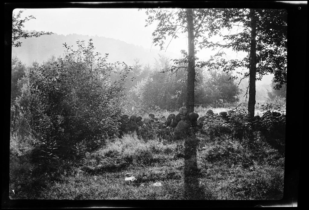 Miniature of Trees