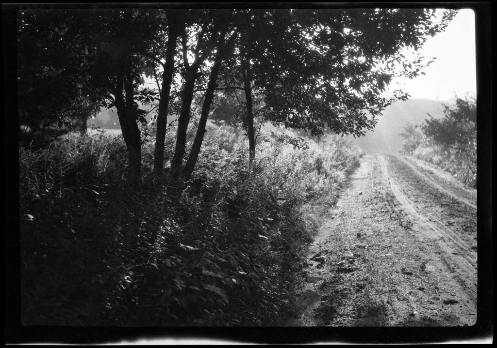 Miniature of Landscapes- Mist