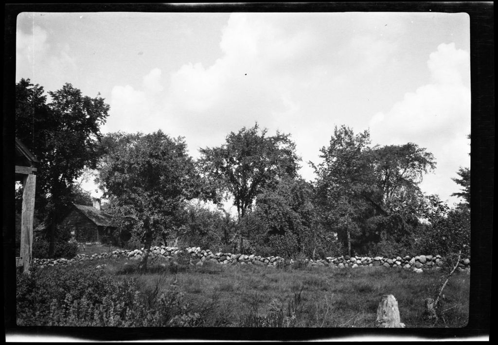 Miniature of Trees- Homestead Bars To Field From Pasture