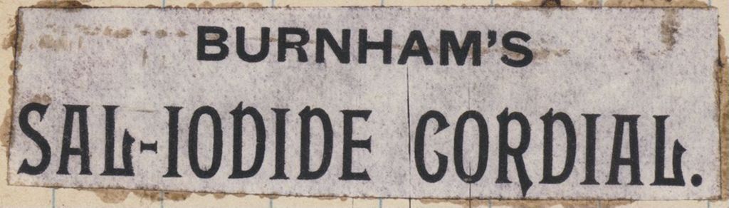 Miniature of Burnham's Sal-Iodide Cordial