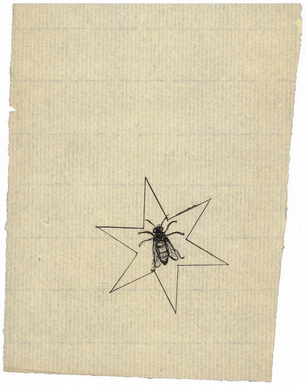 Miniature of Six Pointed Star Honey (Mechanic Falls ME)
