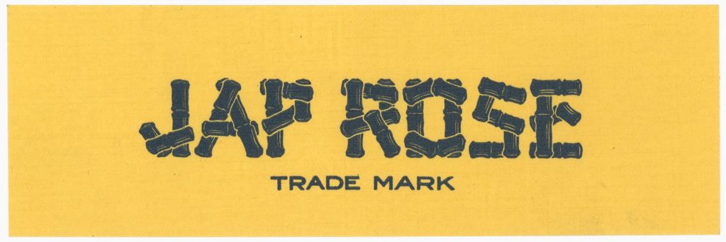 Miniature of Jap Rose