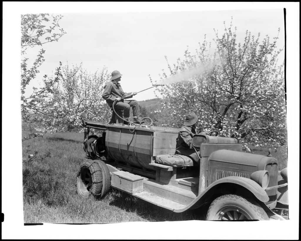 Miniature of Workers Spraying Apple Trees