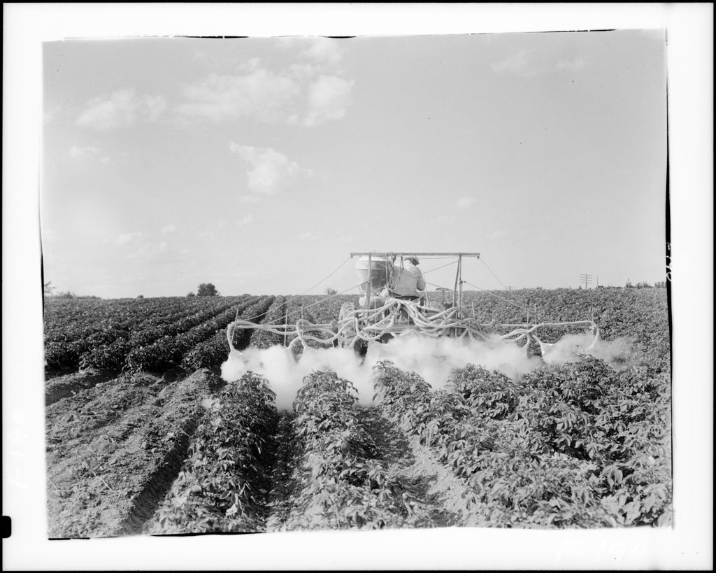 Miniature of Worker Using A Tractor To Dust A Potato Crop In Monticello