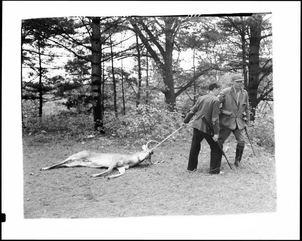 Miniature of Two Hunters Dragging A Deer Out Of The Woods