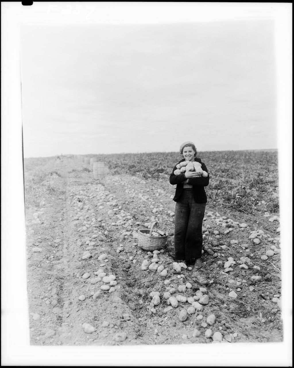 Miniature of Young Girl Holding An Armful Of Huge Potatoes