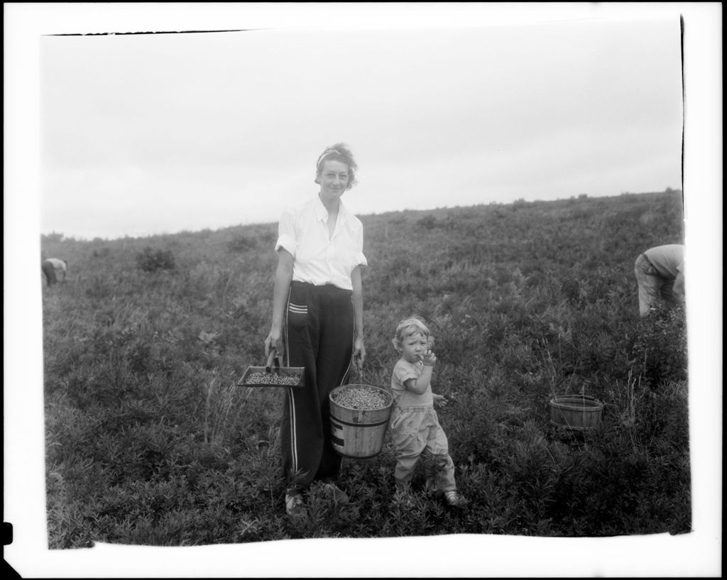 Miniature of A Woman And Child In A Blueberry Field