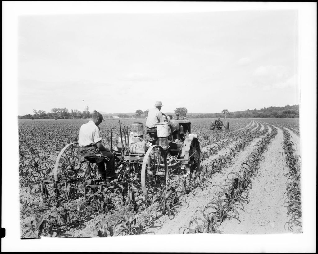 Miniature of Farmer Spreading Fertilizer With An Old Metal Wheeled Tractor