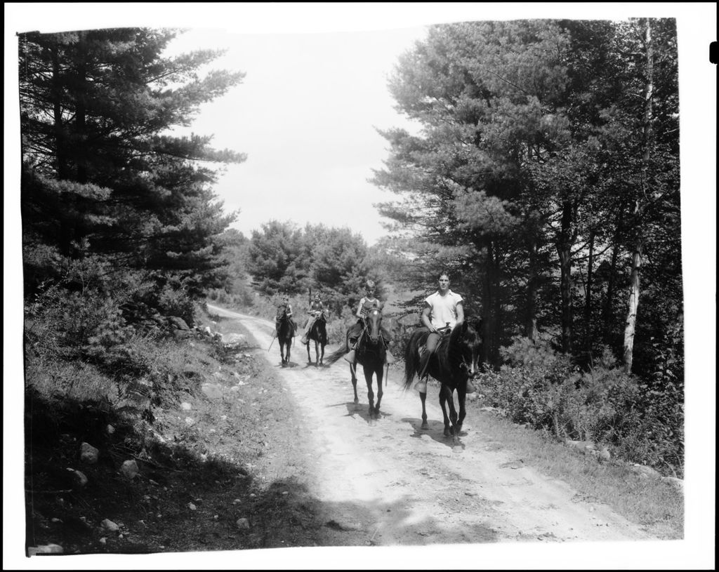Miniature of Group Of Riders On A Woods Road