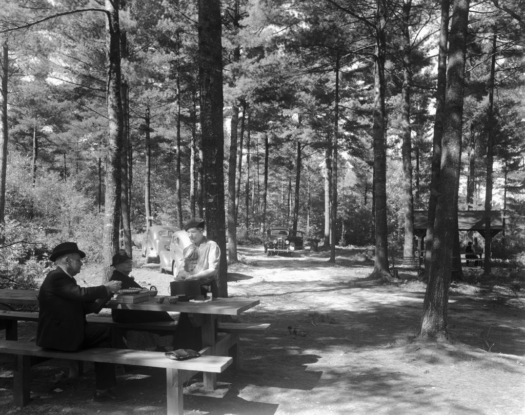 Miniature of People Eating A Picnic Lunch In A Wooded Picnic Area In Raymond