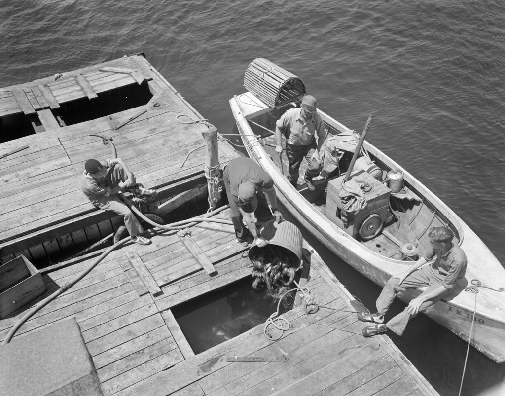 Miniature of Lobsterman Selling His Catch At Pemaquid