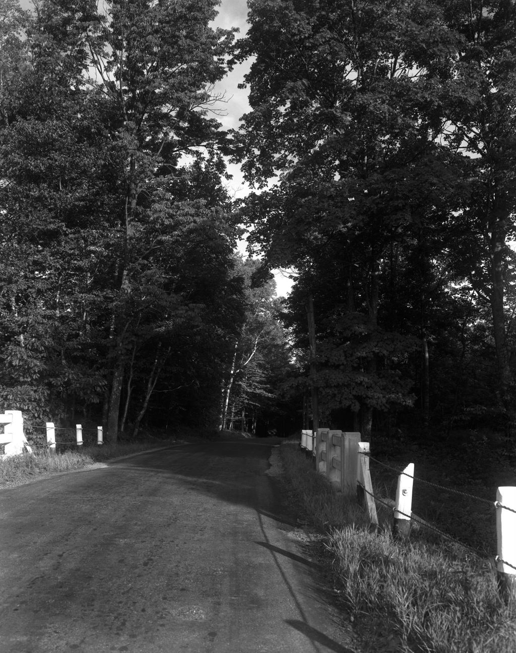 Miniature of Gravel Road (Route 2) Through Forest In Wilton