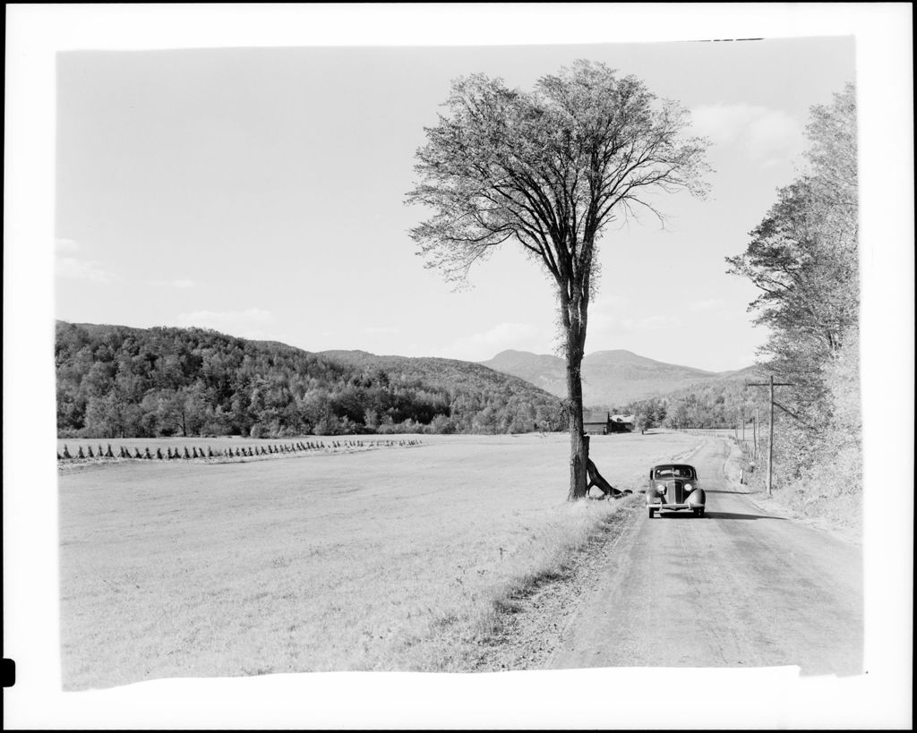 Miniature of Gravel Road Through Fields In Newry, Mountains In Background