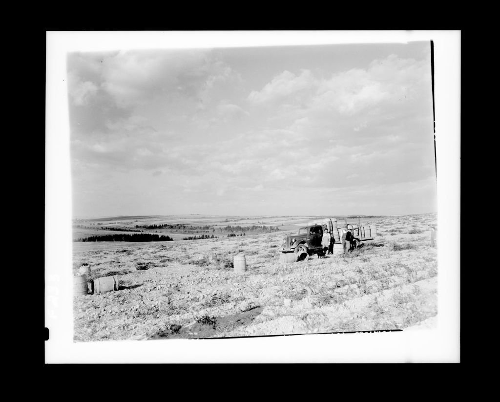Miniature of Workers Unloading Empty Barrels From A Truck In A Potato Field