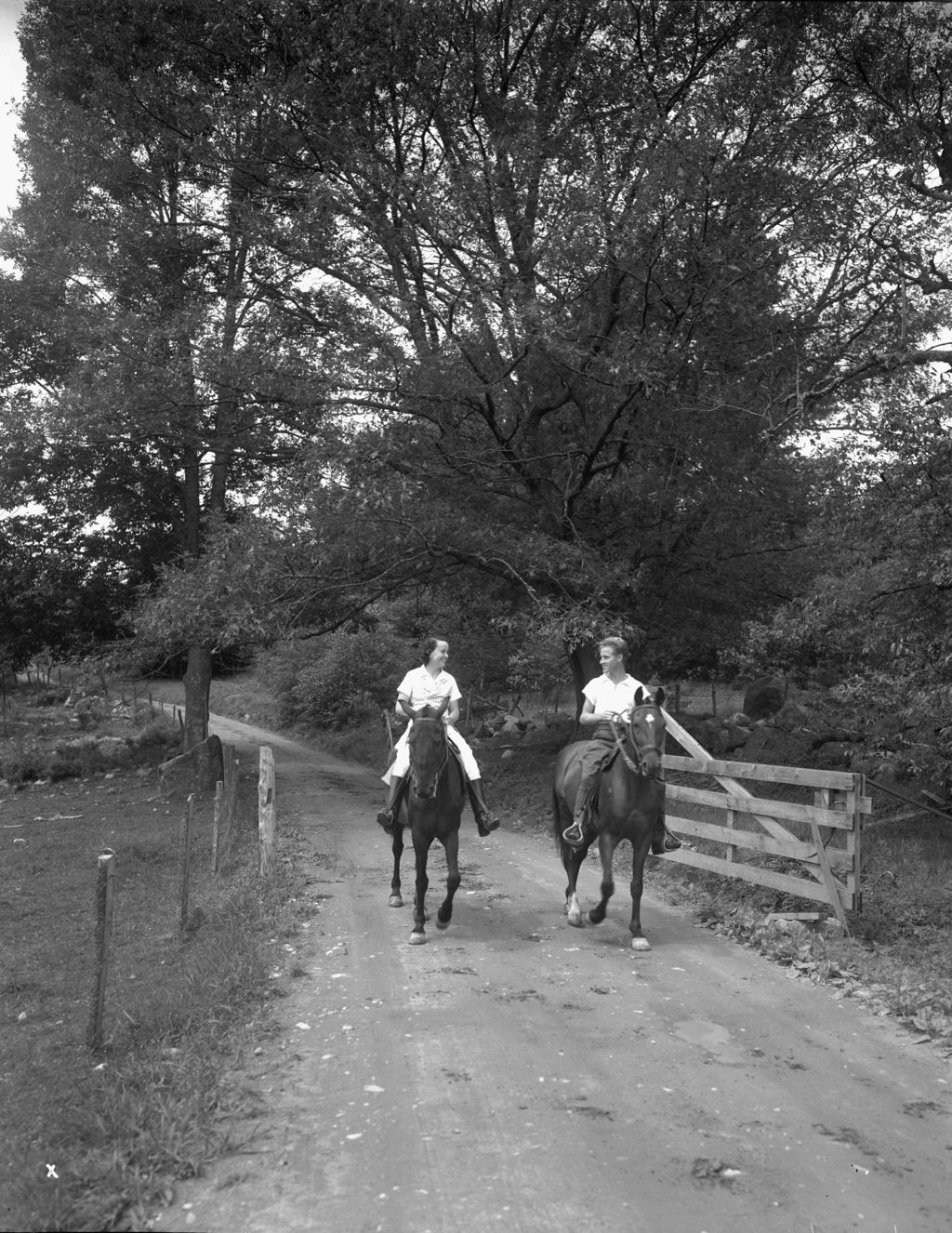 Miniature of Man And Woman Horseback Riding On A Gravel Road In Damariscotta