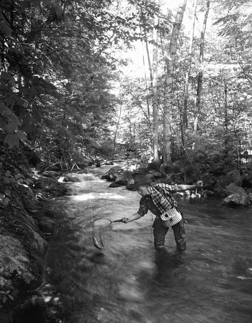 Miniature of Man Netting A Fish From Stream Bank In North Sebago