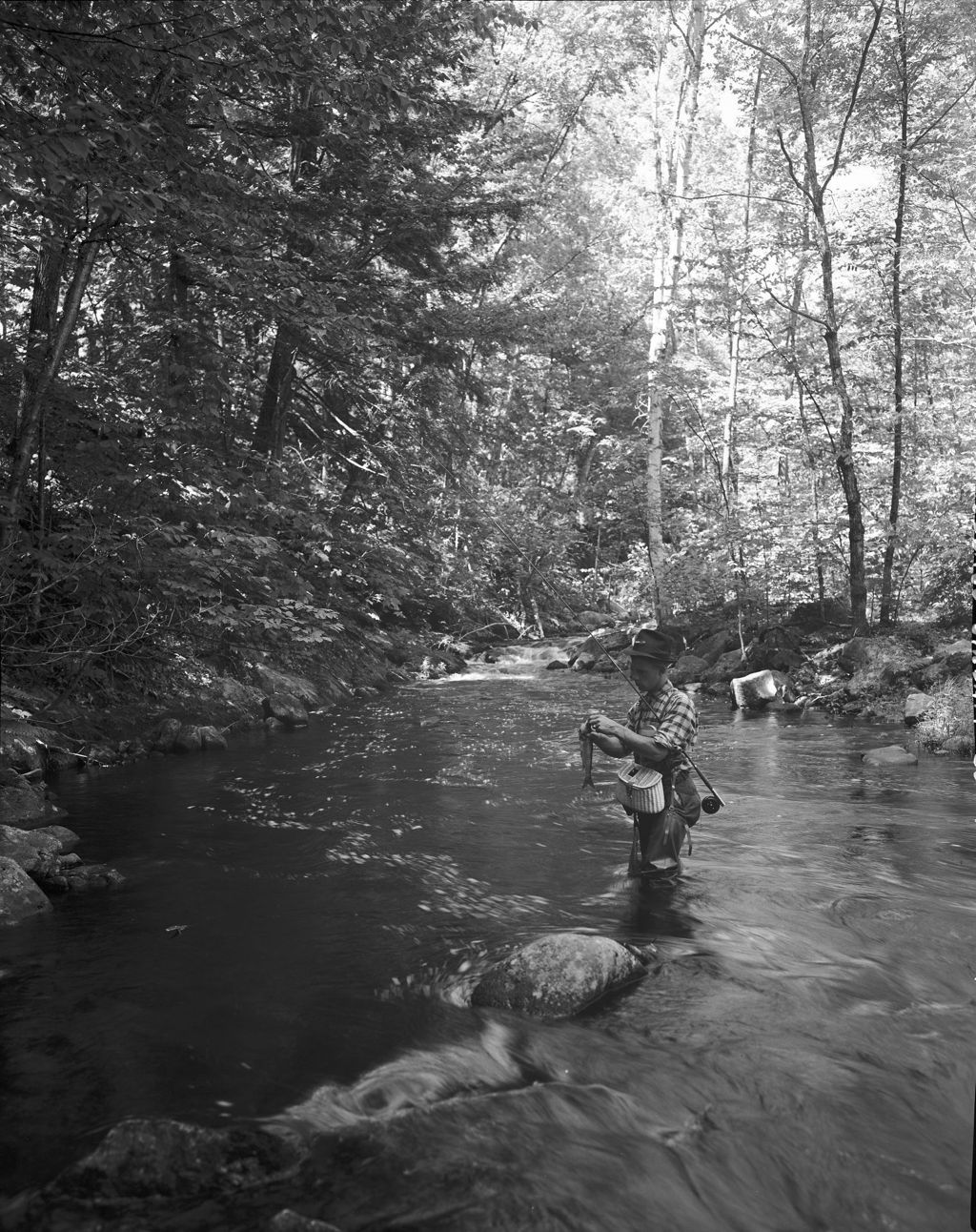 Miniature of Man Standing In A Stream Unhooking Fish In North Sebago