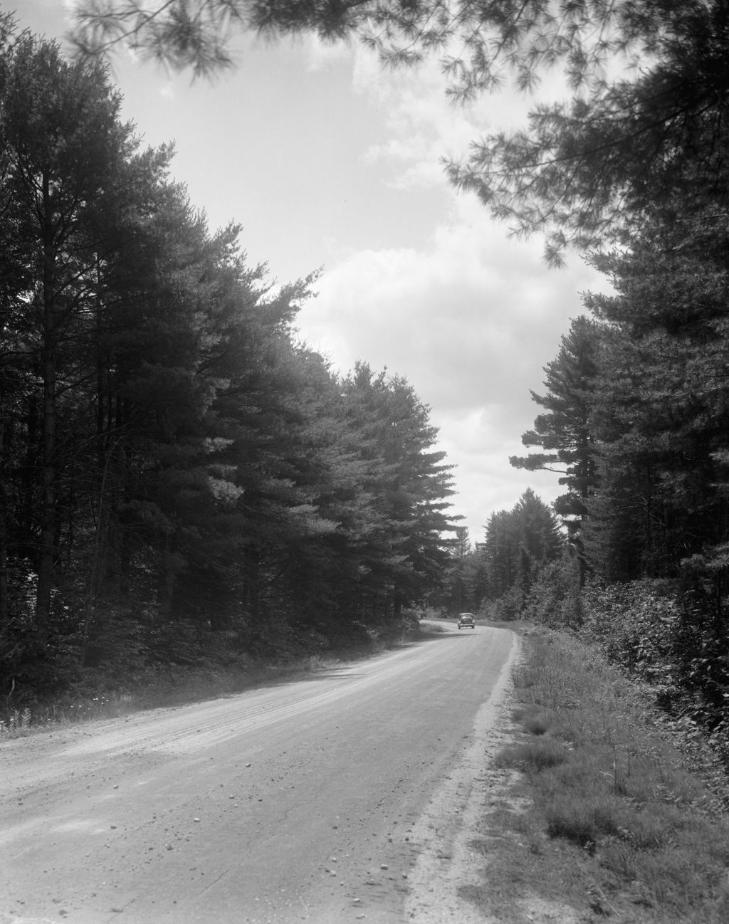 Miniature of Gravel Road Through Woods Near Lovell